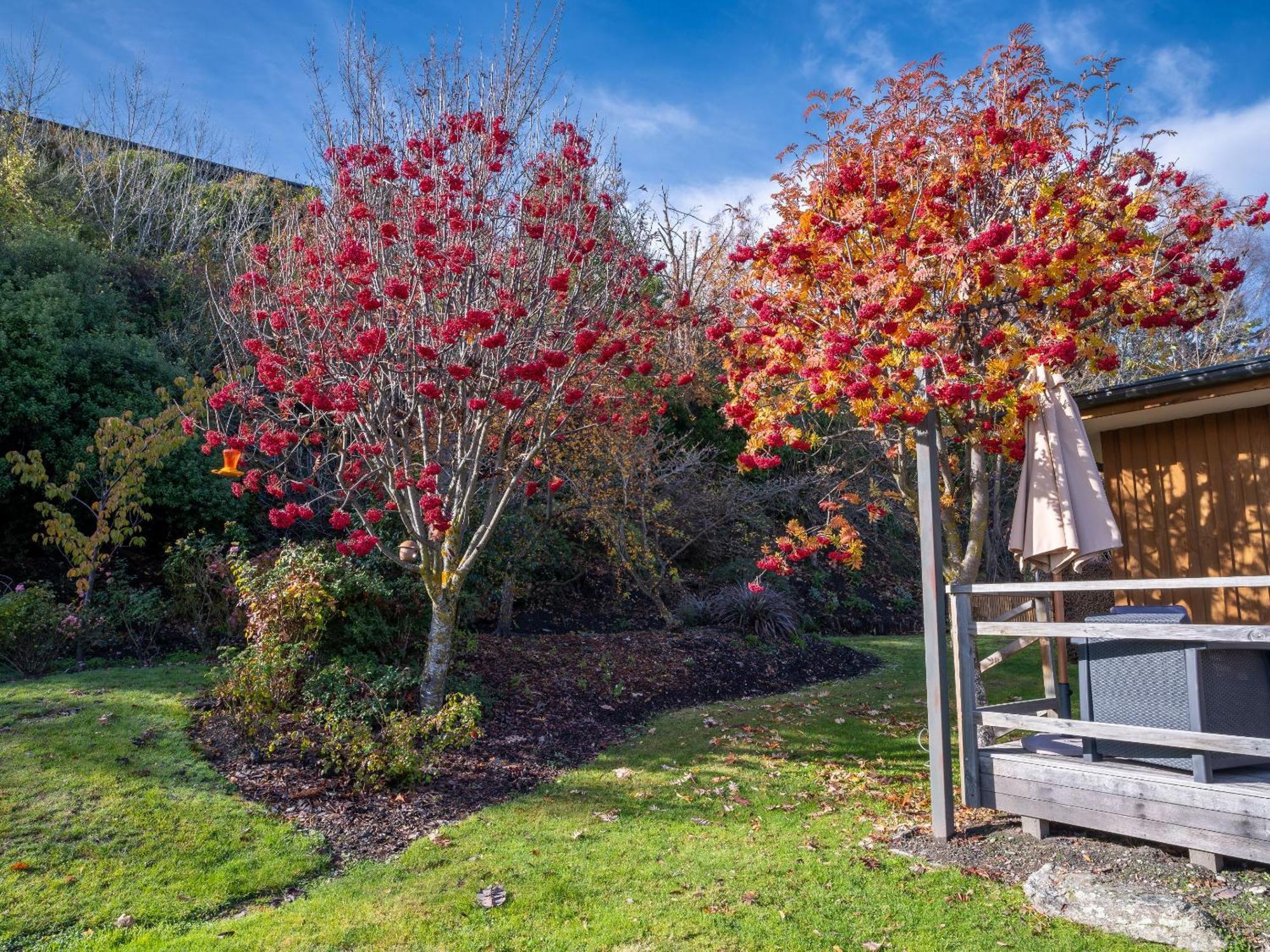Wanaka Springs Lodge ภายนอก รูปภาพ